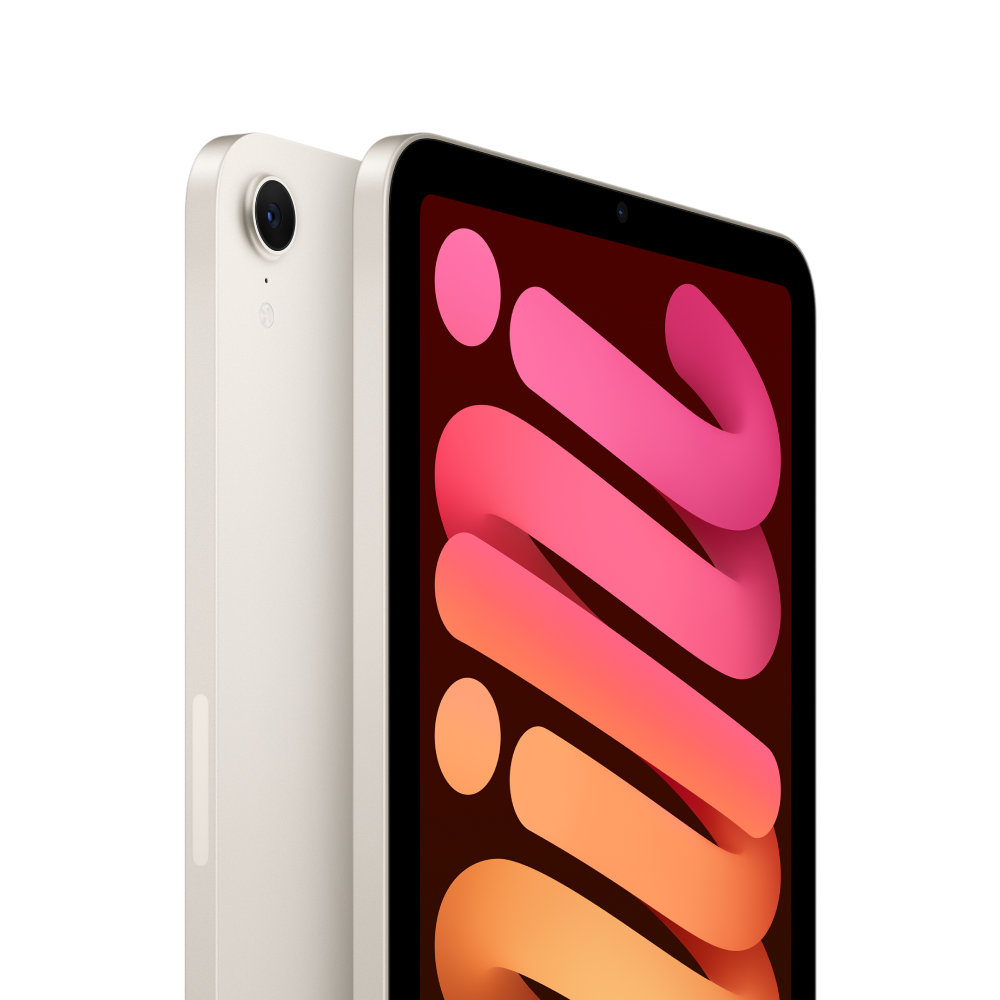 iPad mini