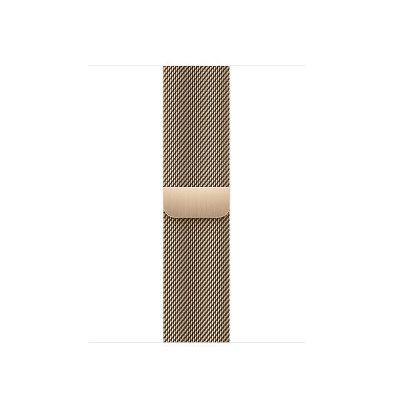 Apple Milanese Loop