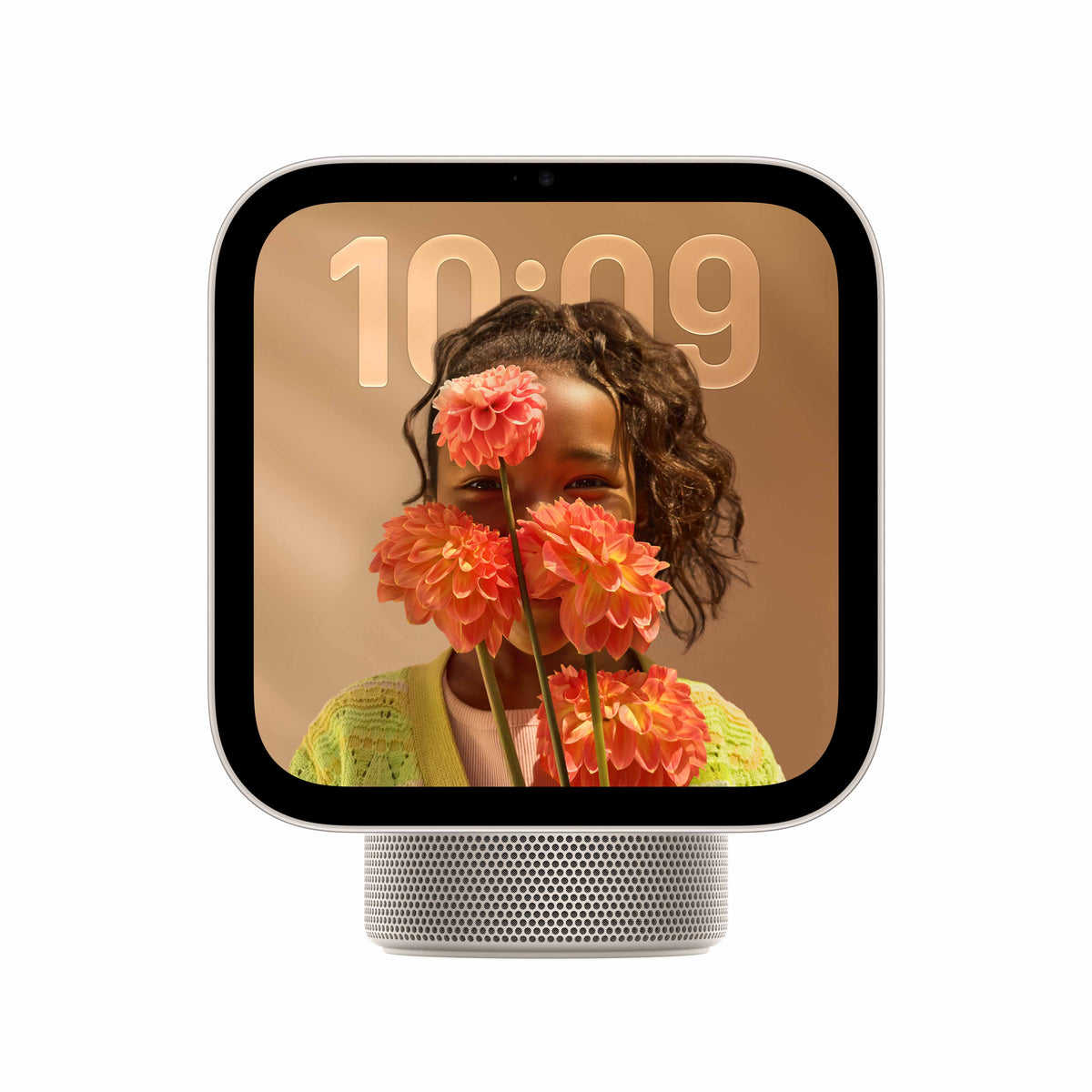 Apple HomeView