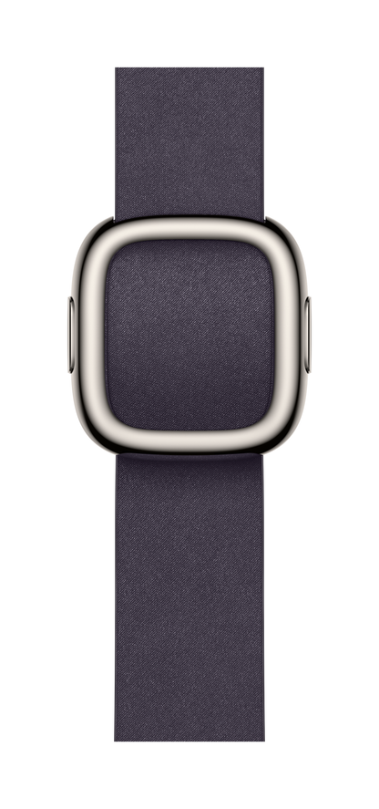 42mm Watch Modern Buckle