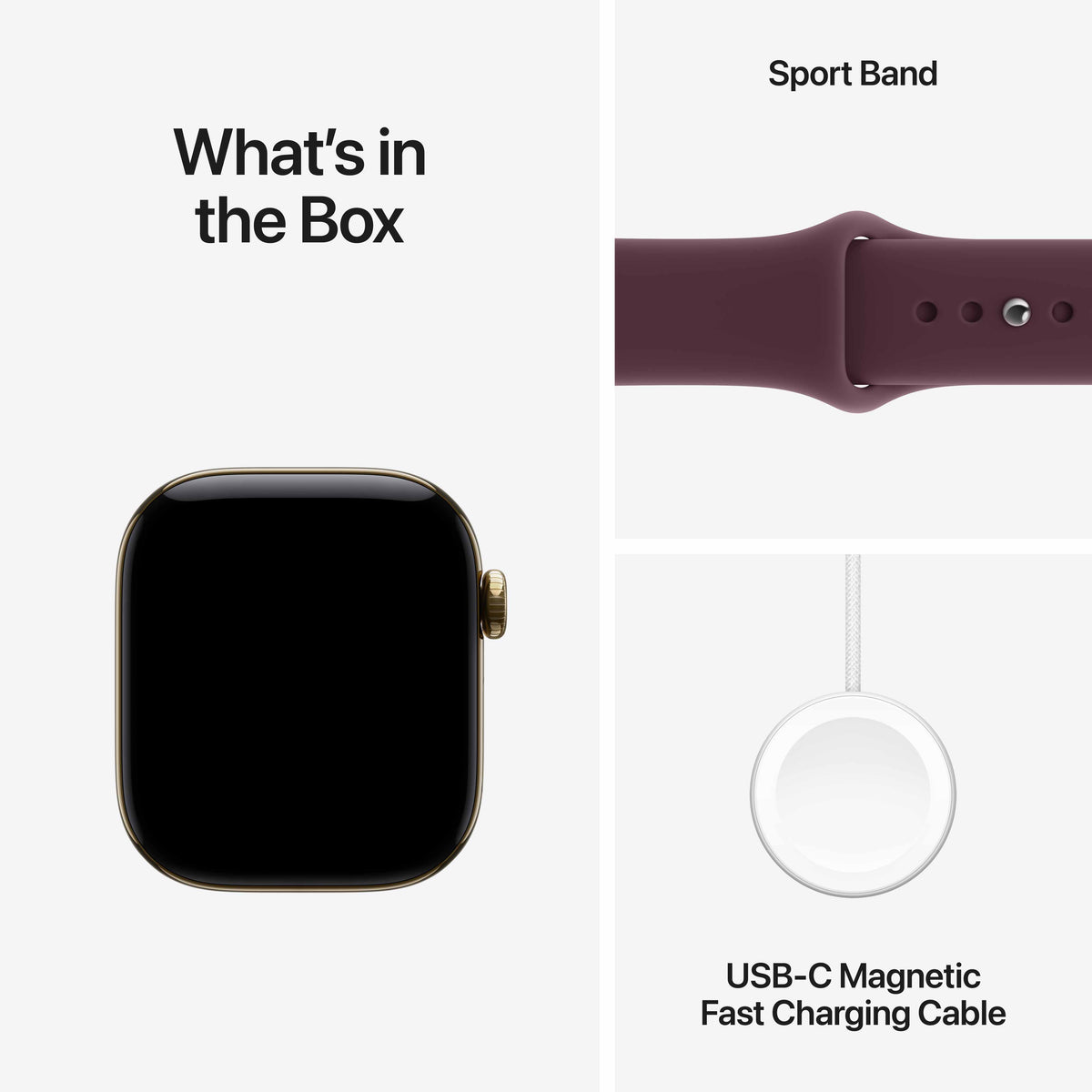 Apple Watch Series 12 - GPS + Cellular - Titanium Case with Sport Band
