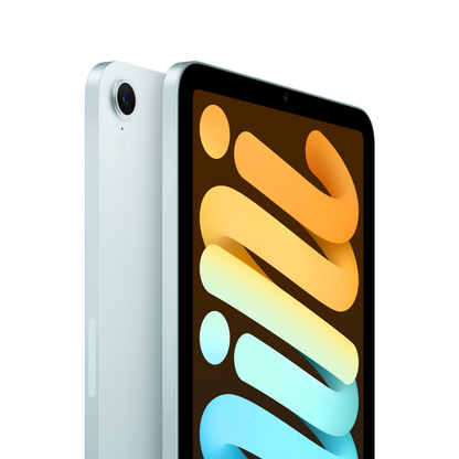 iPad mini
