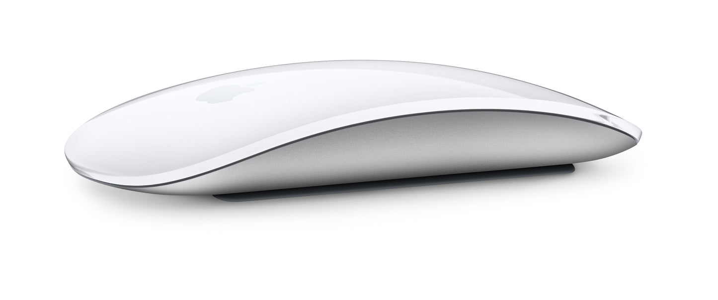 Magic Mouse - Multi-Touch Surface