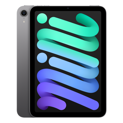 iPad mini