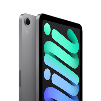 iPad mini