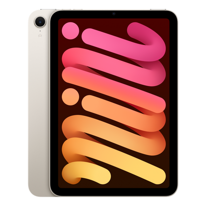 iPad mini