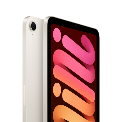 iPad mini