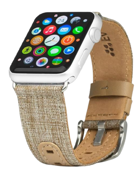 Evutec india