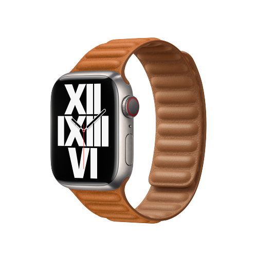 Apple Leather Link Watch Band