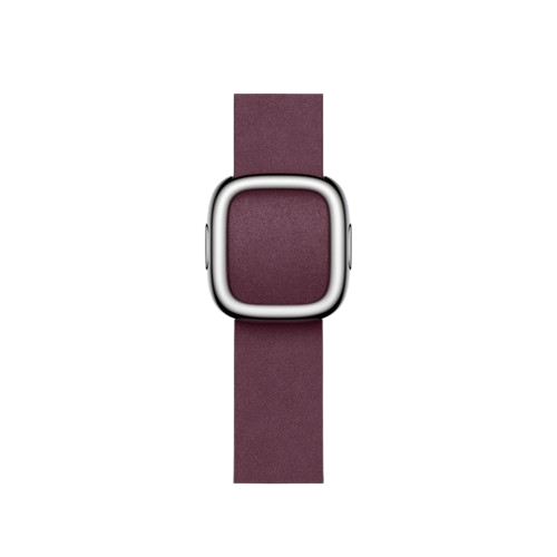 Apple Watch Modern Buckle 41mm
