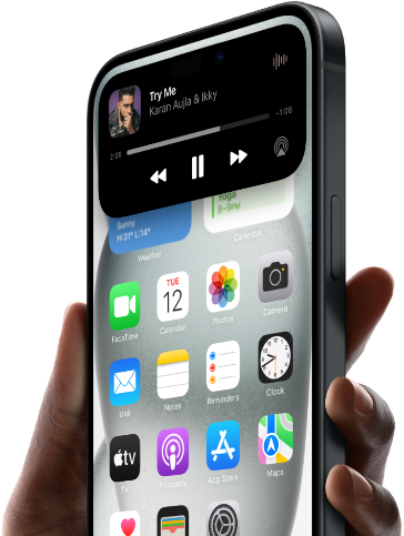 apple icon